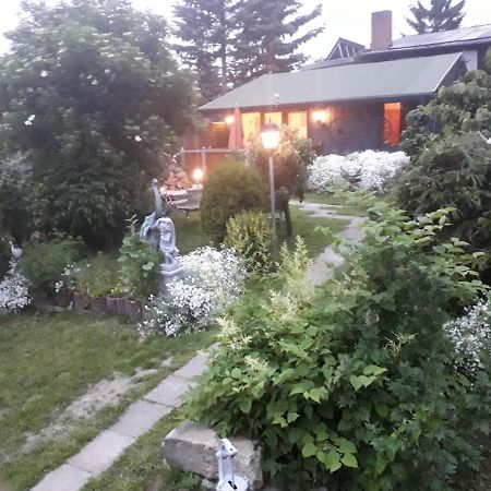 Вилла Ferienhaus Schulenberg Фридрихсбрун Экстерьер фото
