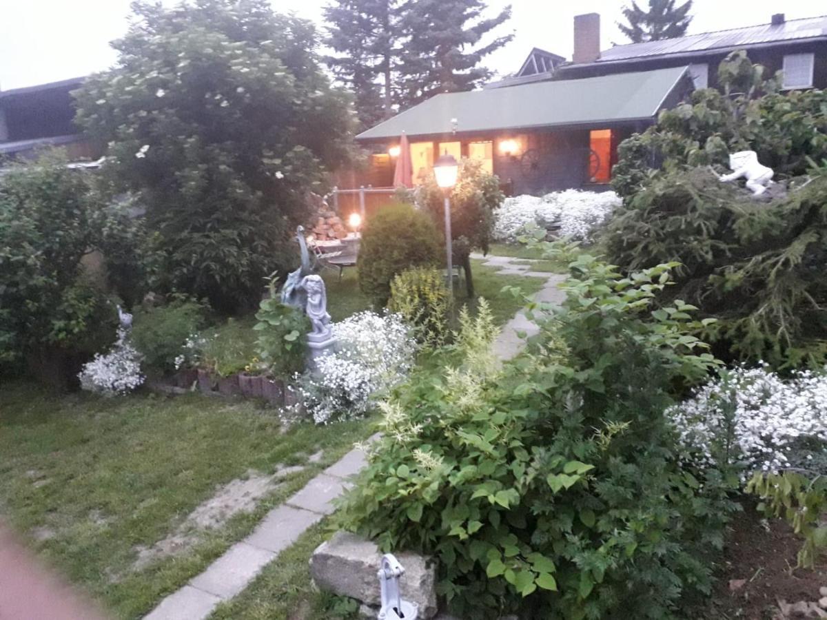 Вилла Ferienhaus Schulenberg Фридрихсбрун Экстерьер фото