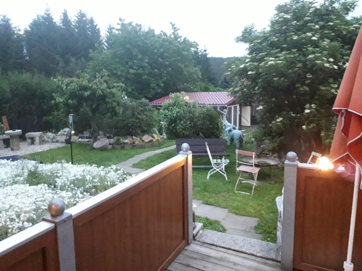 Вилла Ferienhaus Schulenberg Фридрихсбрун Экстерьер фото